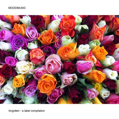 forgotten - A Label Compilation, moodspec6